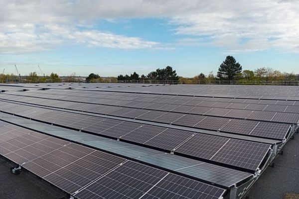 Renewables